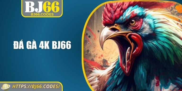 Đá gà 4K BJ66