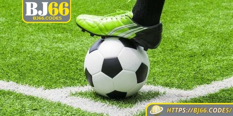 Mách nhỏ về bí kíp hữu ích để chinh phục cược