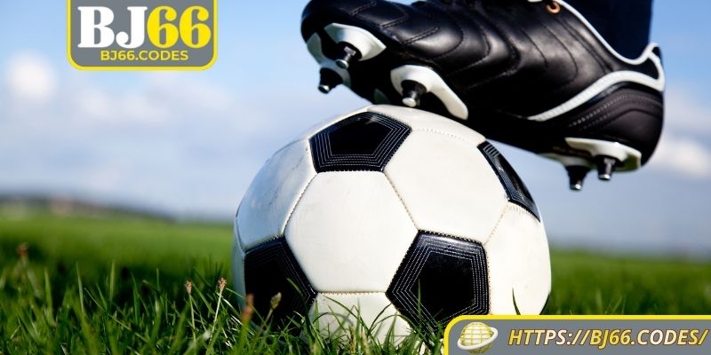 Thông tin khái quát về kèo handicap BJ66 
