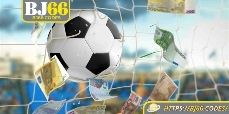 Mách bạn những loại hình hiện hành